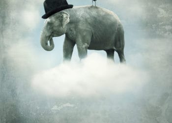 Fantasy surrealistic background with an elephant with a hat and a gull that flying on a cloud in the sky